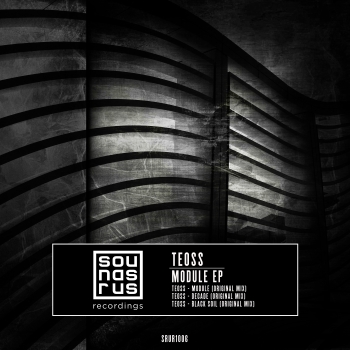 Module cover