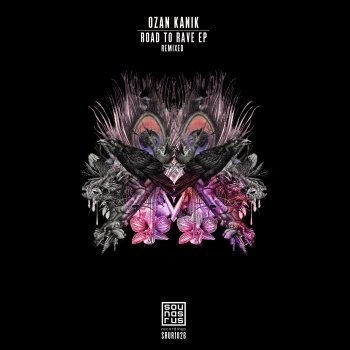 Road To Rave Remixed cover