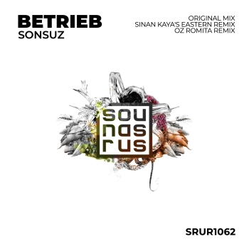 Sonsuz cover