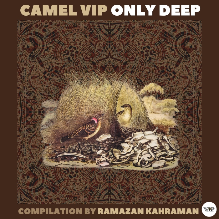 Camel VIP Only Deep (Compilation by Ramazan Kahraman) - Release - Proton Radio