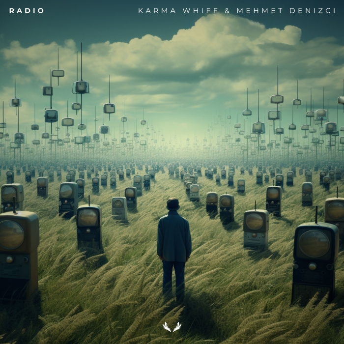 Radio cover