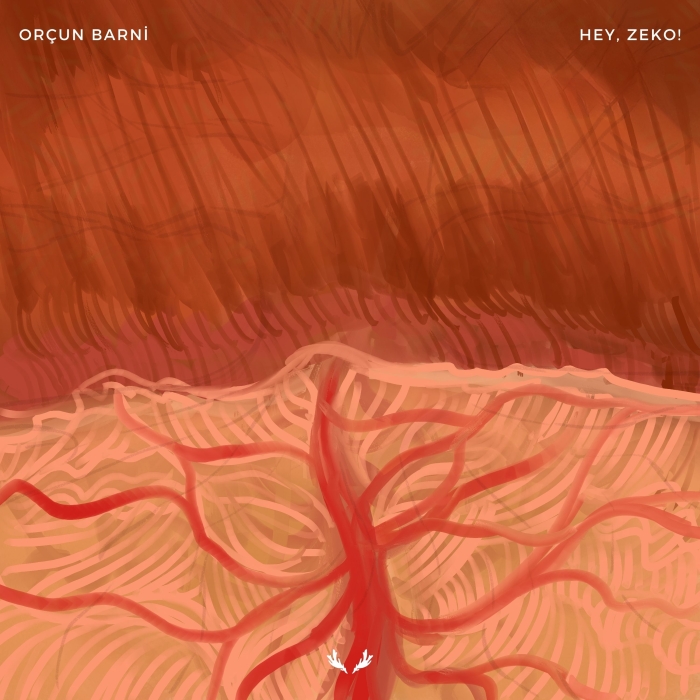 Hey cover
