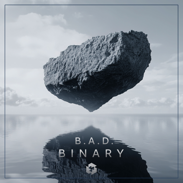 Binary by B.A.D. Live